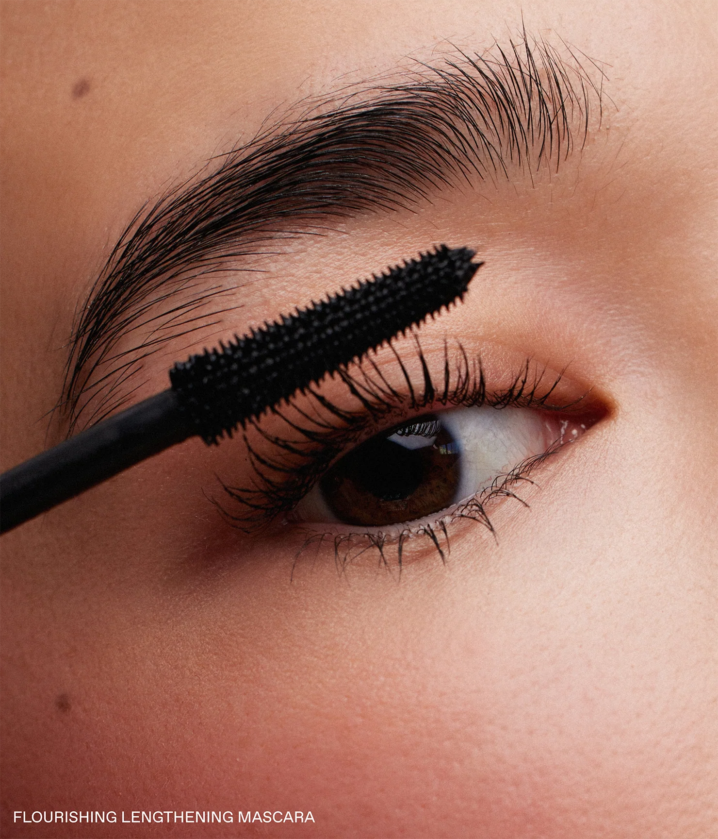 ari's signature eye trio - Image 5