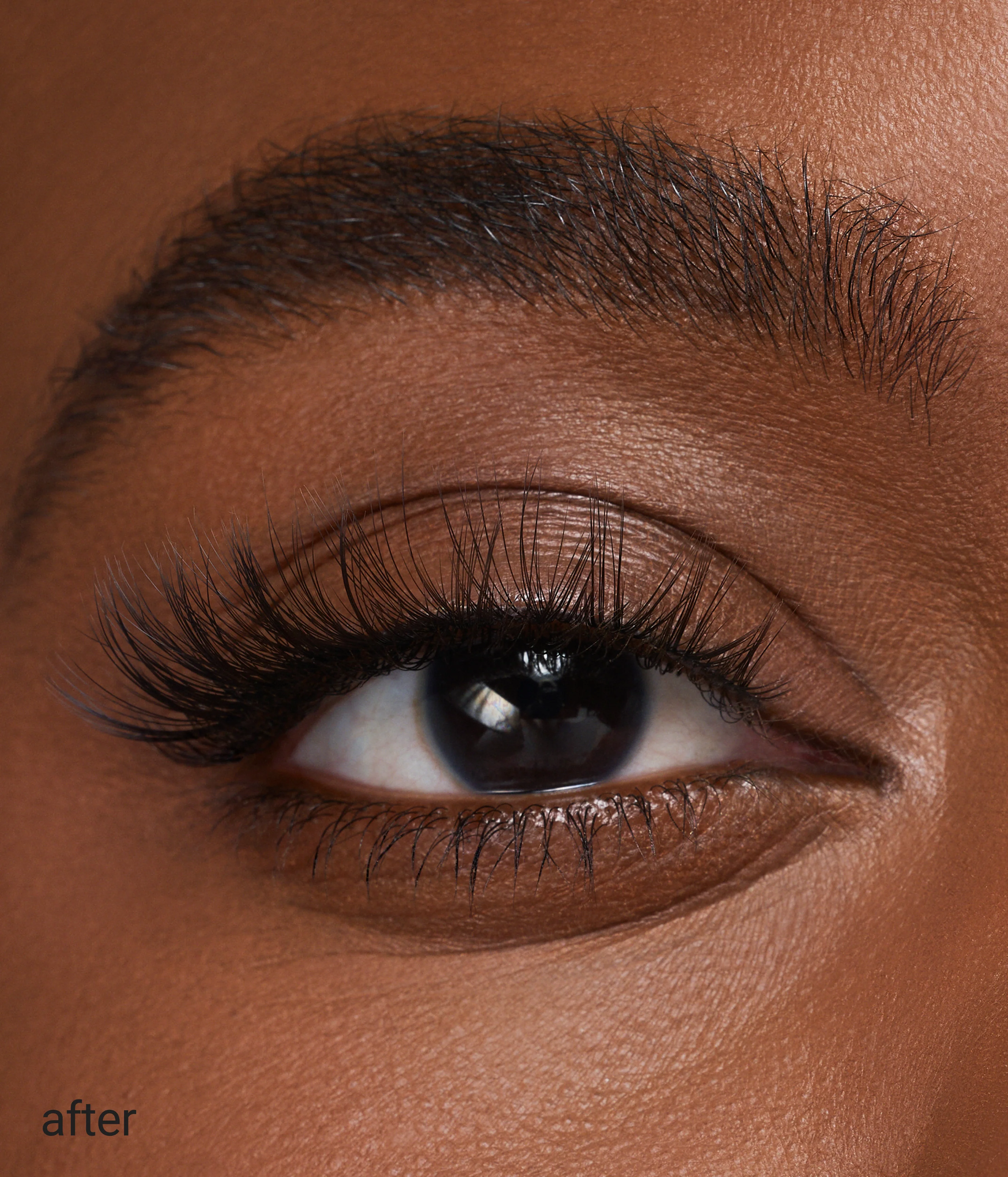 dream lashes - Image 14