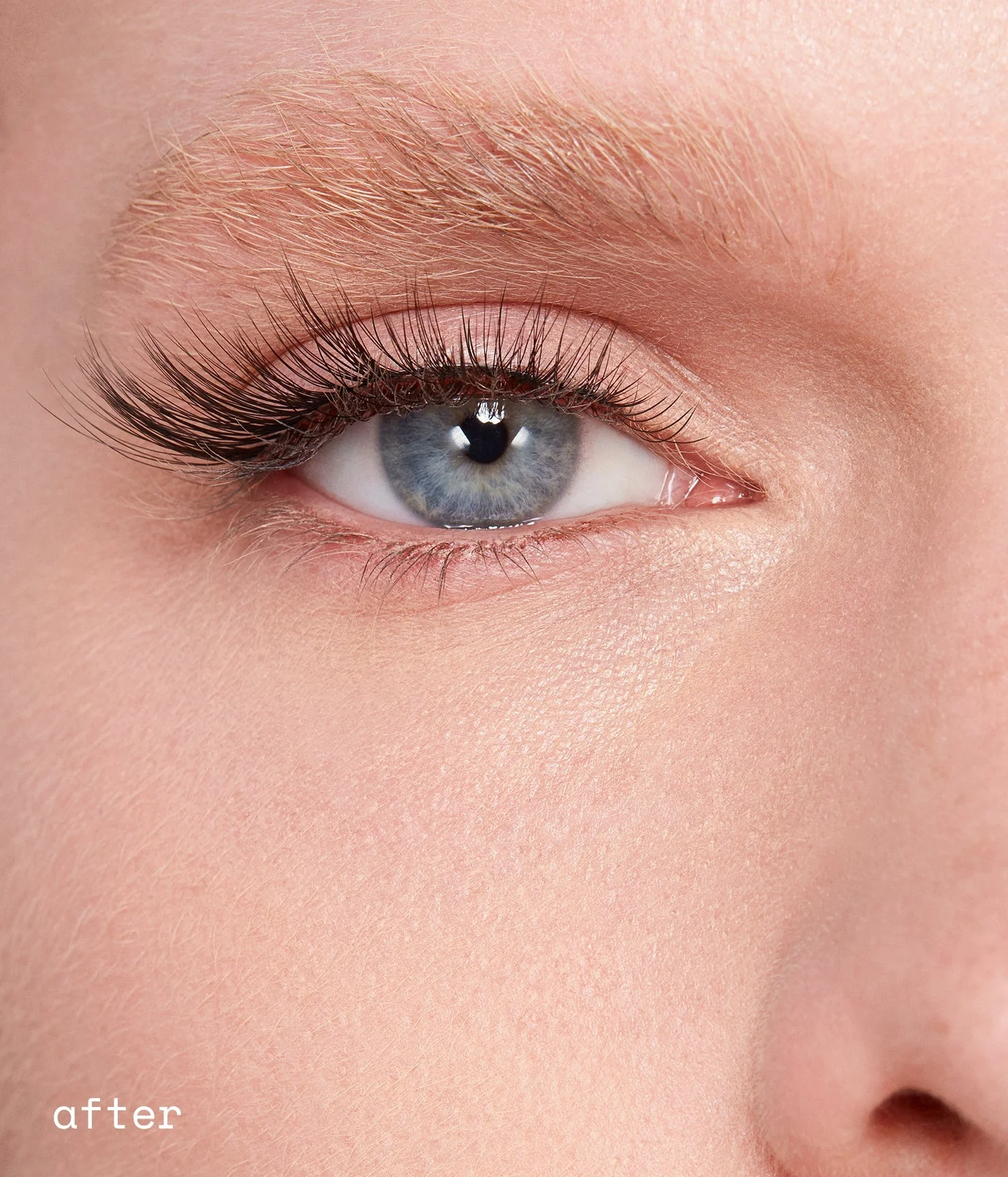 dream lashes - Image 5