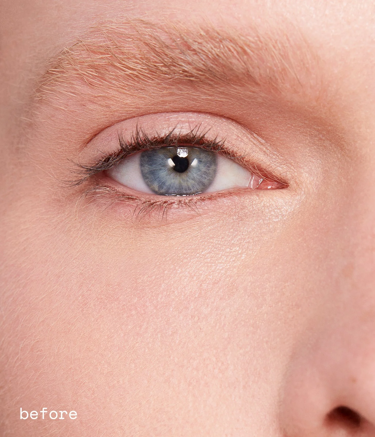 dream lashes - Image 6