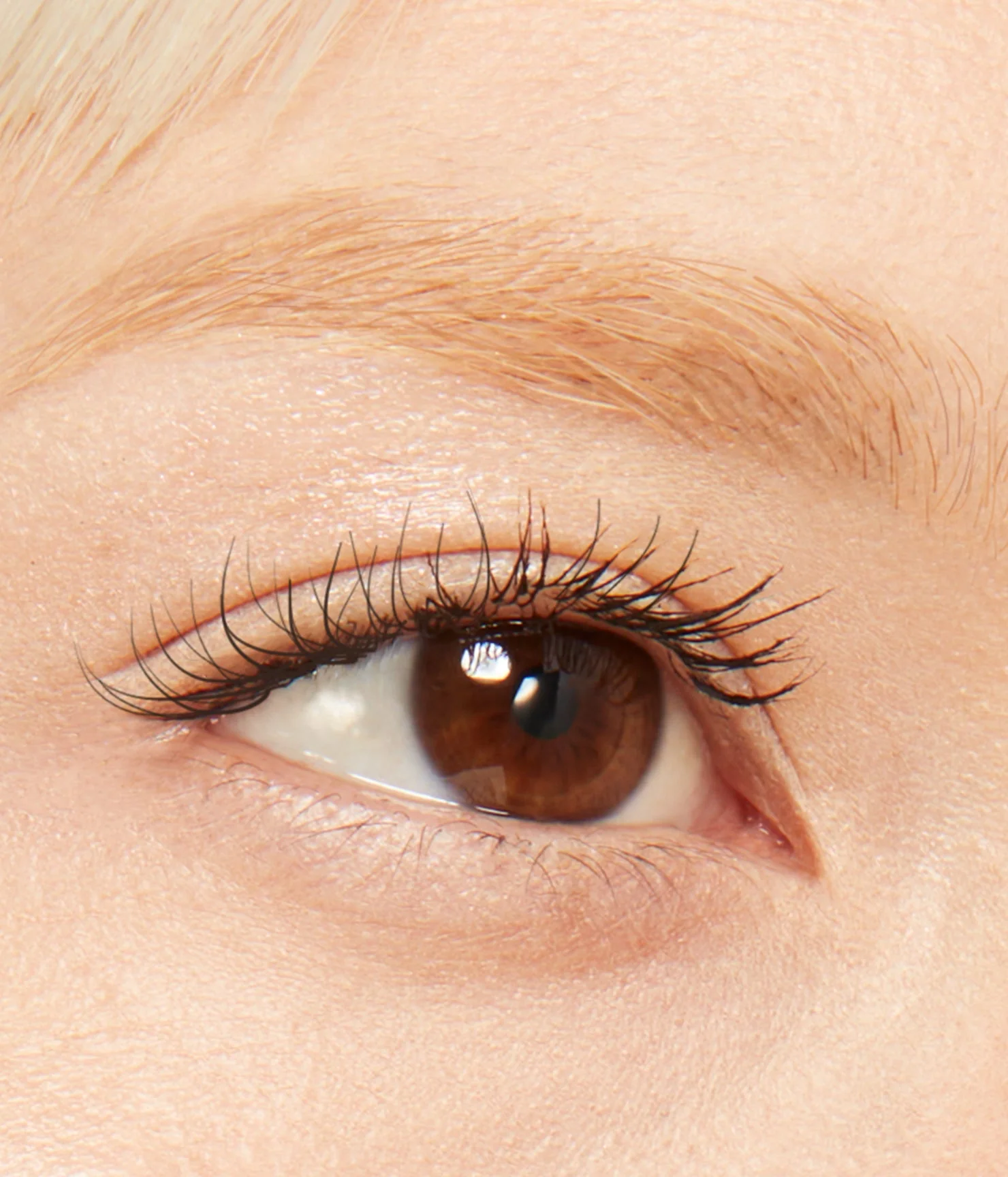 brow pencil - Image 27